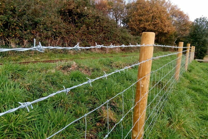 Barbed Wire