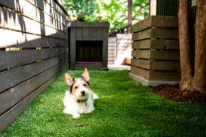 Dog Run Fence Cost