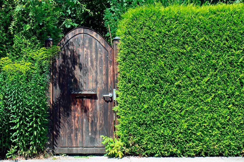 Privacy Hedge