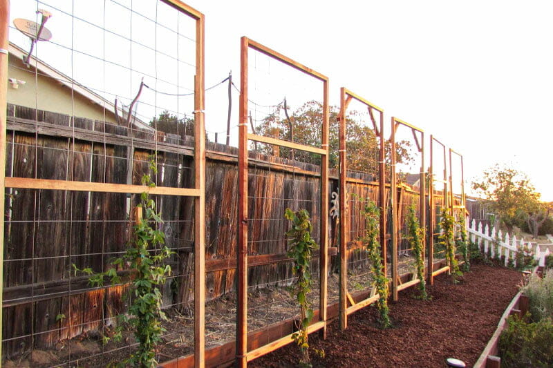 Add A Trellis