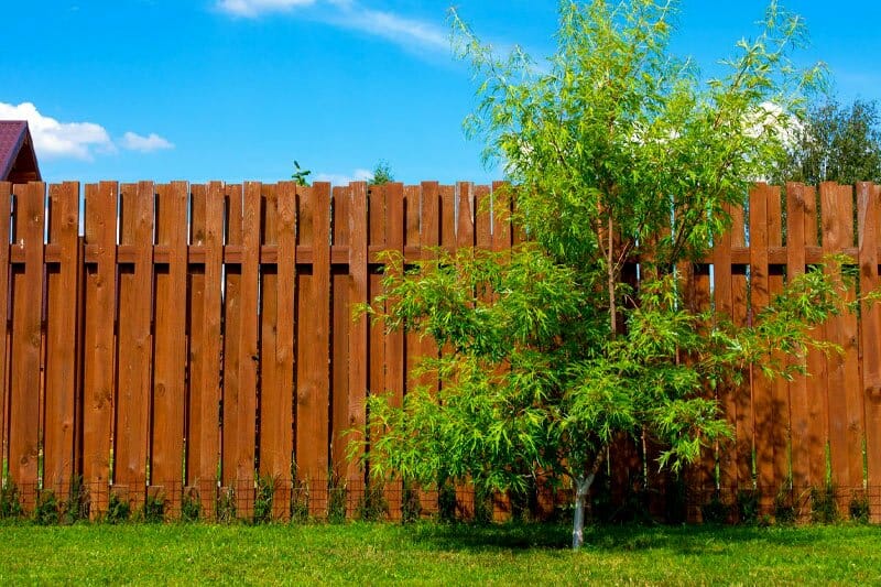 Can I Clean My Side of the Neighbors Fence