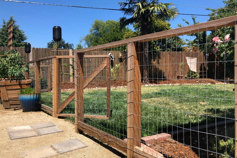 Hog Wire Fence Cost 2022 Price Guide