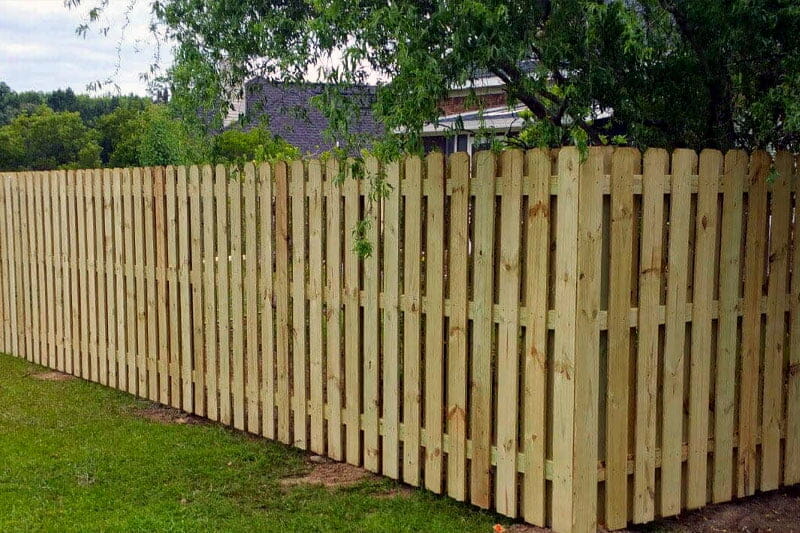 Pressure treated Pine