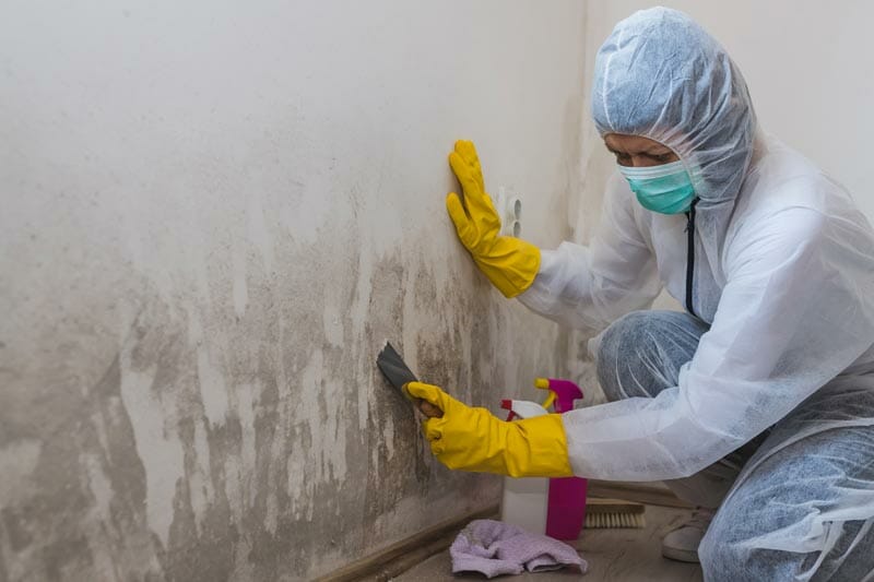 Do I need to pay for mold remediation if I rent