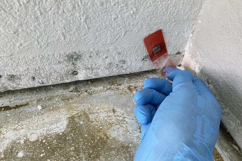 Free Mold Inspection for Renters