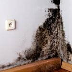 How Long Does A Landlord Have To Fix A Mold Problem
