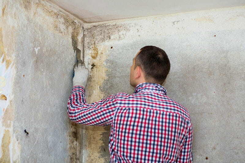 When should you get a mold inspection