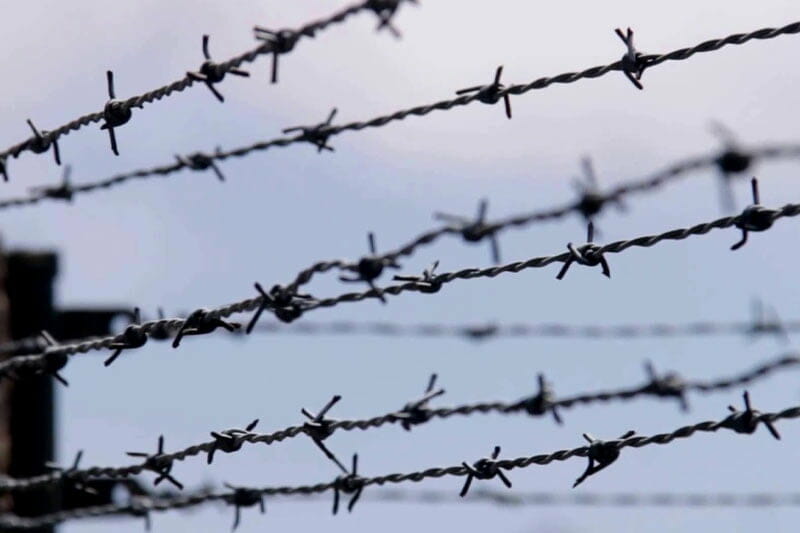 2.Barbed Wire Fence