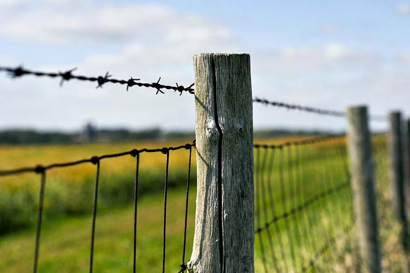 Cost to Install a Field Fence