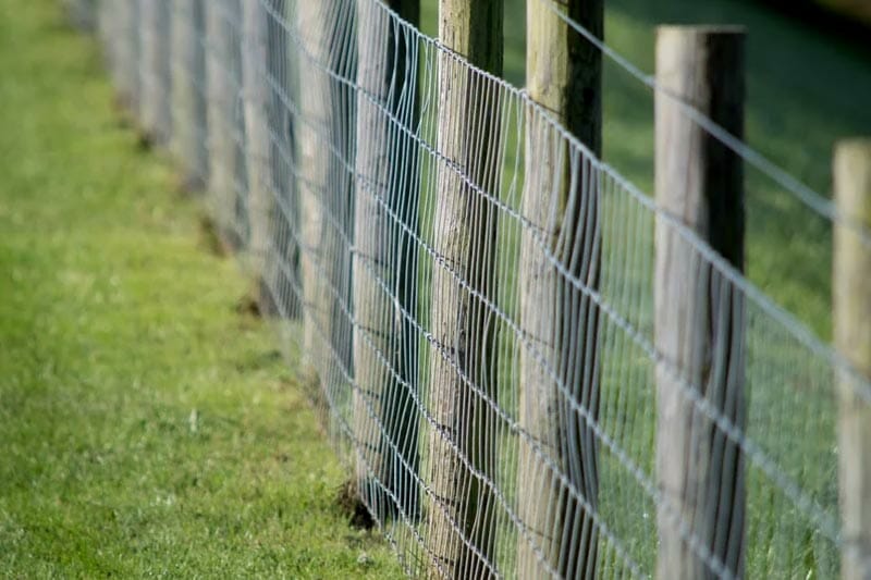 Post and Wire Fence Cost