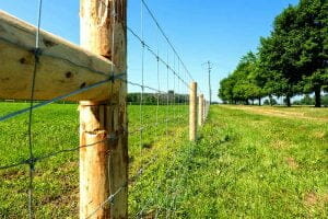 Woven Wire Fencing Cost