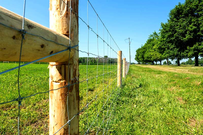 Woven Wire Fencing Cost