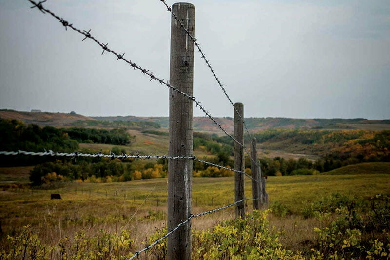 Barbed Wire Fence