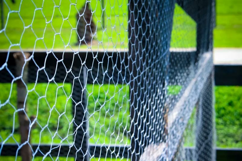 Chicken Wire Fence Cost