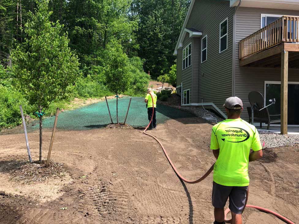 Factors influencing the price of hydroseeding a lawn