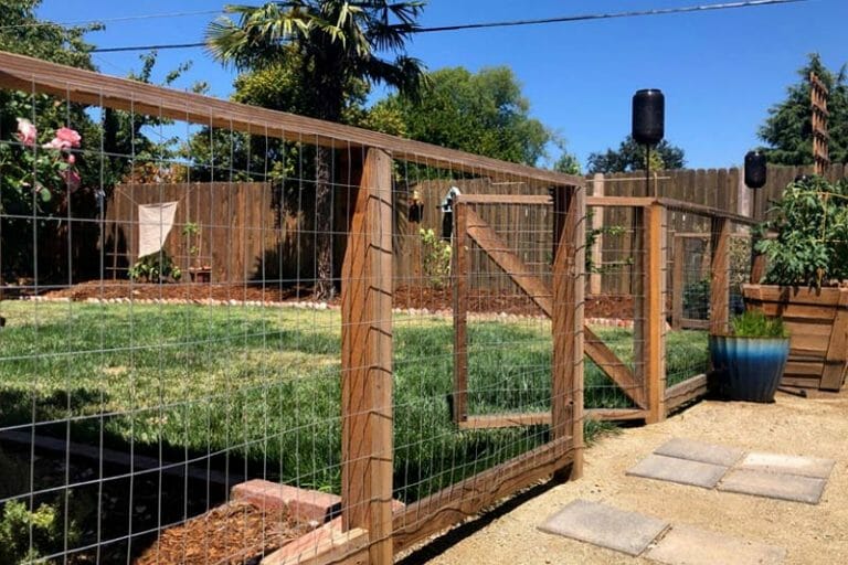 Hog Wire Fence for Dogs