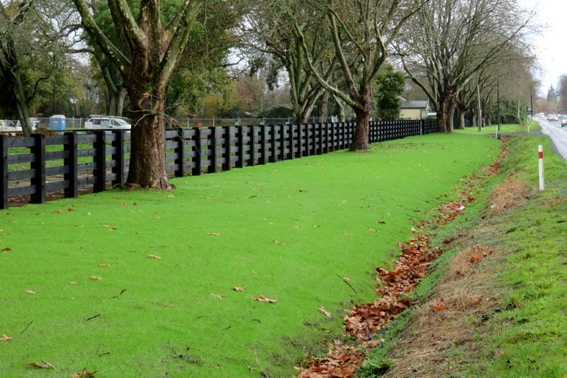 Hydroseeding Cost per Sq Foot