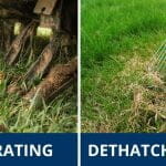 Is It Better To Dethatch or Aerate