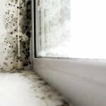 Landlord’s responsibility for mold in Delaware State