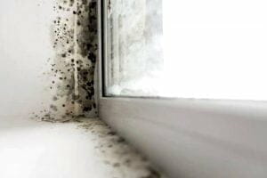 Landlord’s responsibility for mold in Delaware State