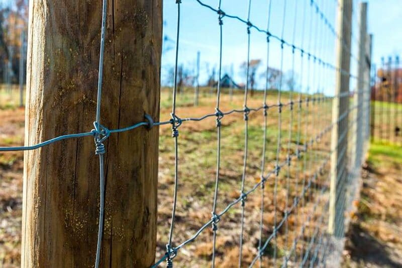 No climb fence