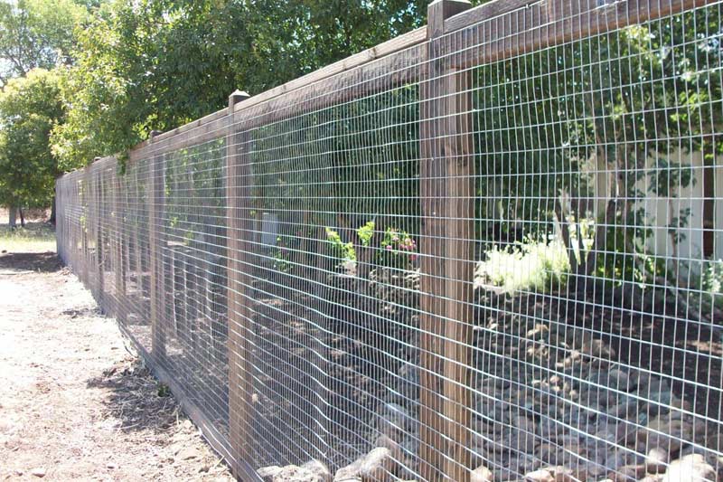 Popular uses of welded wire fence
