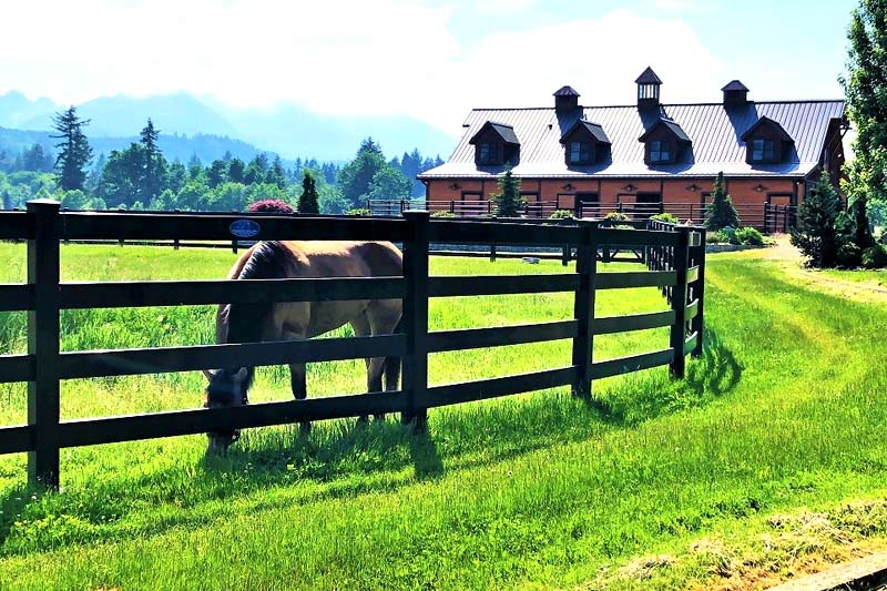 Vinyl horse fence