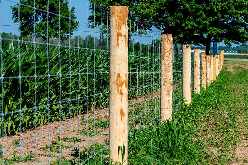 Woven Wire Fence