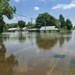 flood damage and mold laws georgia