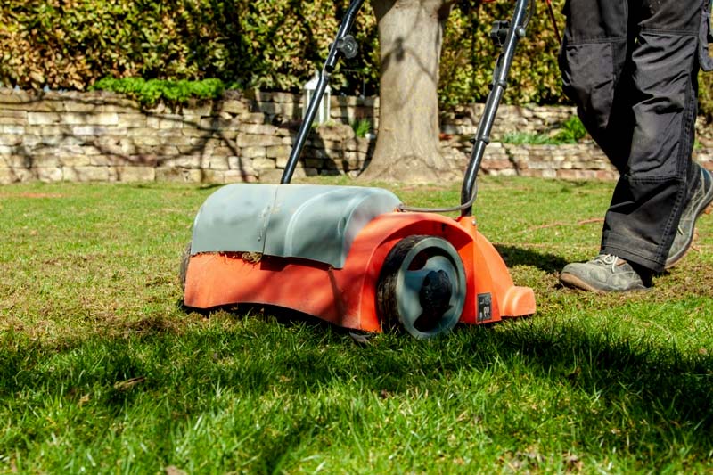 When is the right time to dethatch your lawn