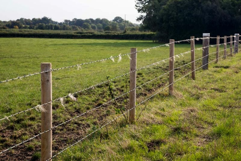 How Many Fence Posts Per Acre Of Farm Field Fencing