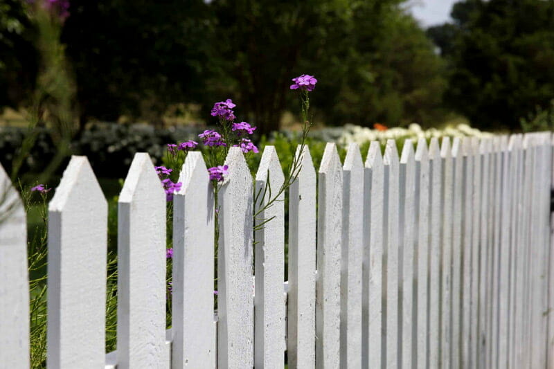 What Is a Spite Fence