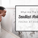 3 deadliest molds foundation at home