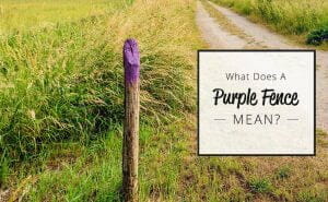 what does a purple fence mean