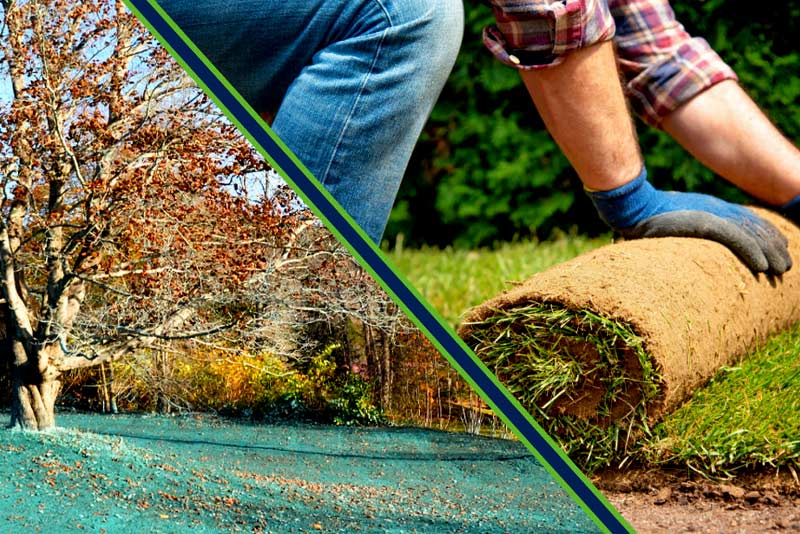 Hydroseeding vs Sod Cost Pros & Cons of Both