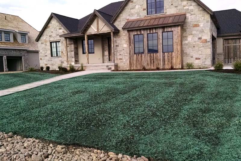 Hydroseeding vs sodding pros and cons