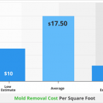 Mold removal cost per square foot