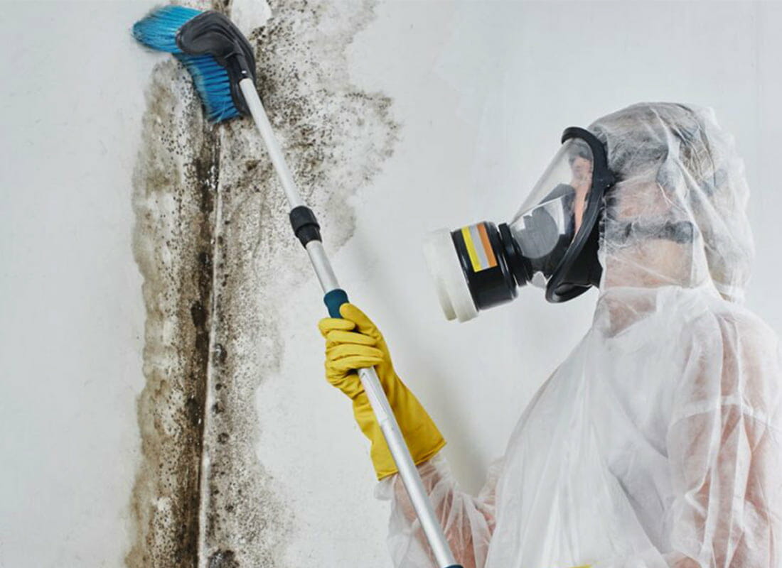 What is involved with mold remediation