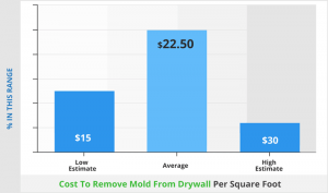 Cost to remove mold from drywall