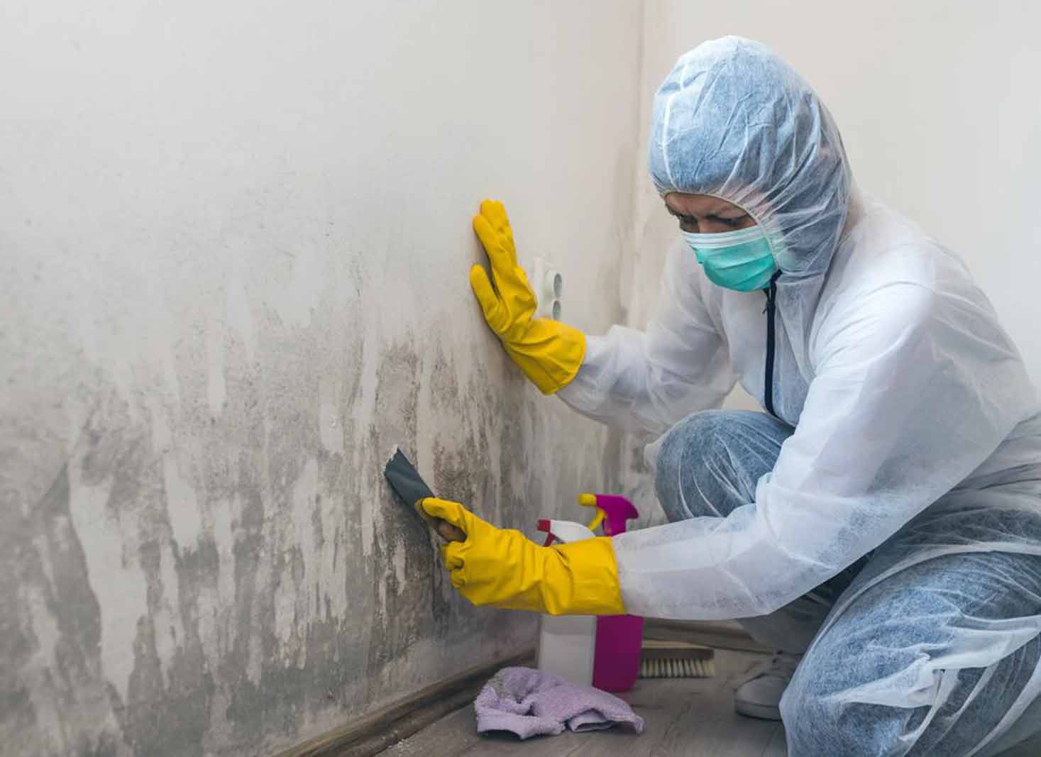Who pays for mold remediation