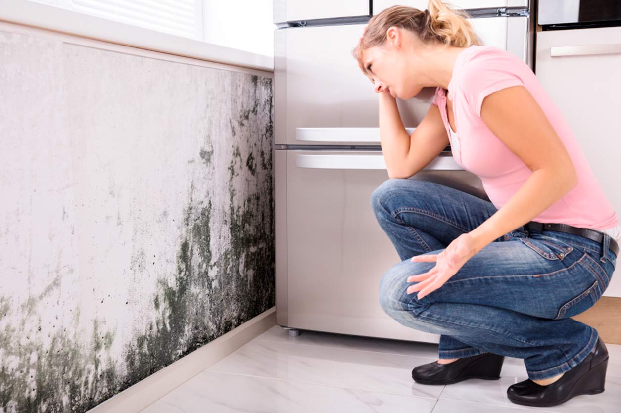 do-home-warranties-cover-mold-what-you-need-to-know