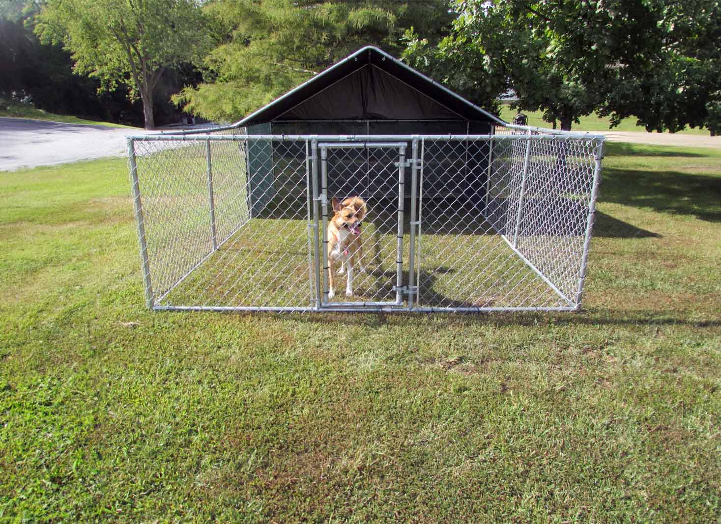 Benefits of Chain Link Fences for Dogs