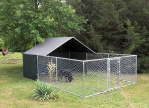 Chain Link Fence for Dogs Keep Your Canine Companions Safe & Secure