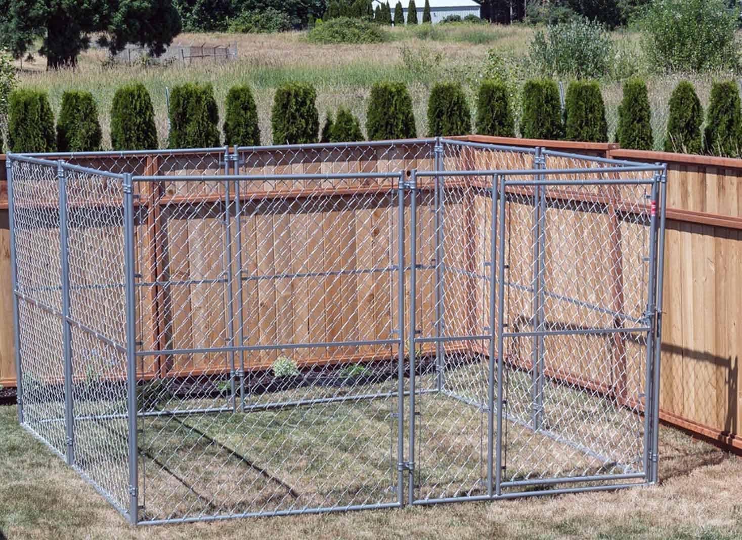 Chain Link Fences for Dogs