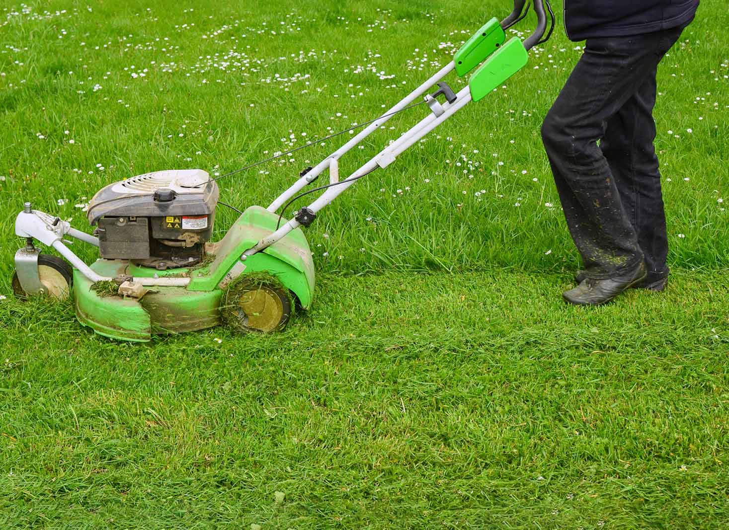 How to mow wet grass