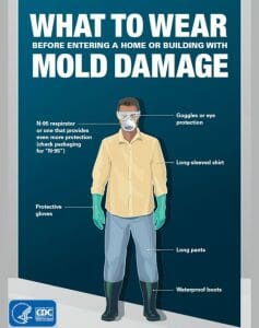 Mold removal safety kit2