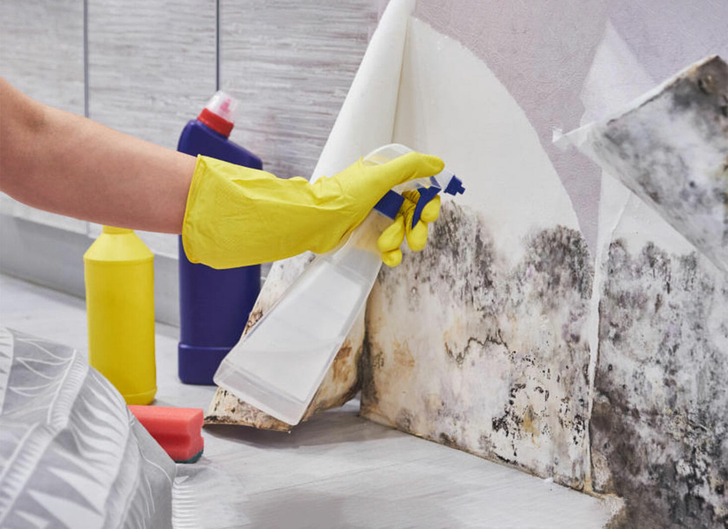 Remove Black Mold from Bathroom by Bleaching