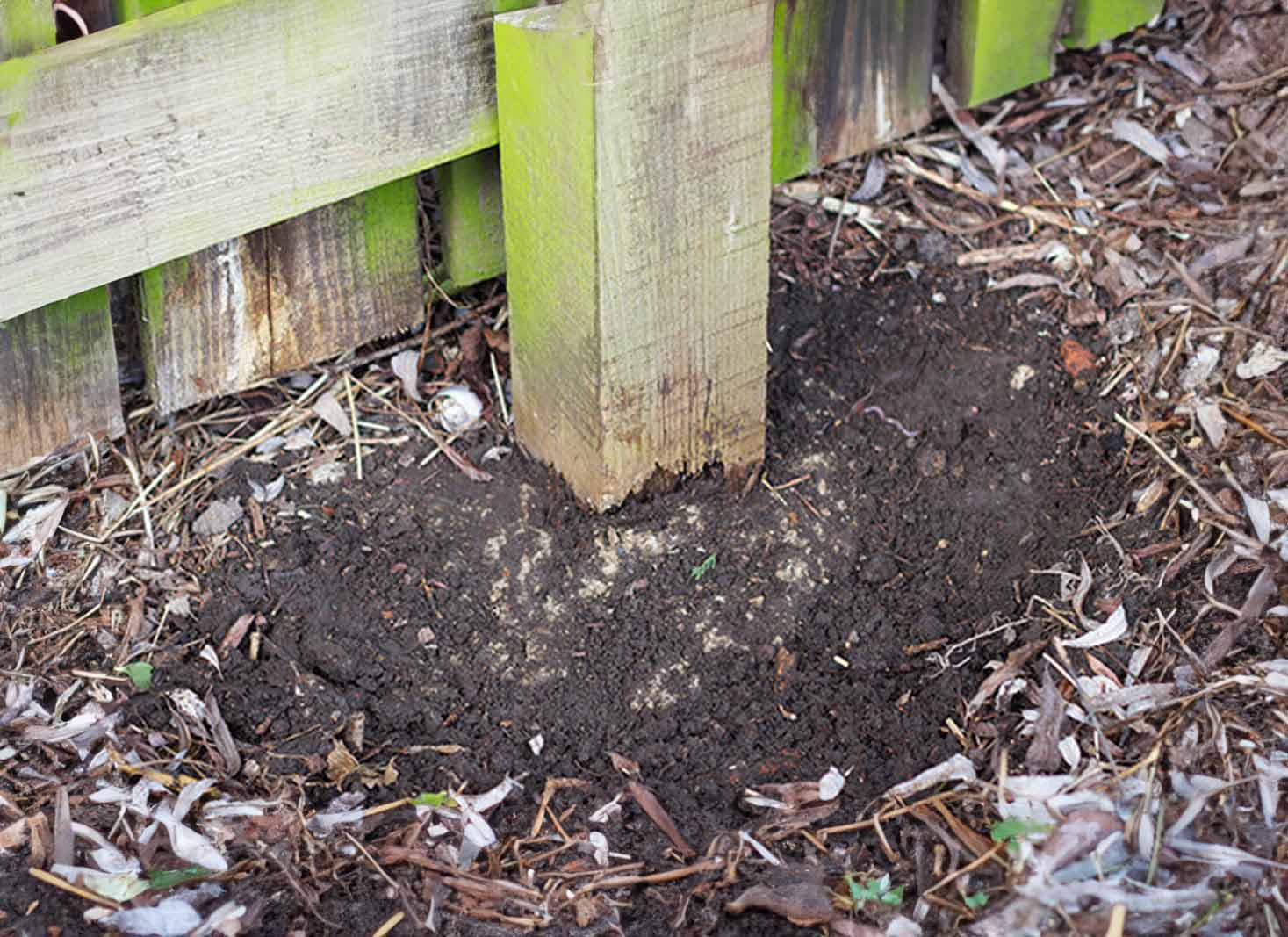 Signs of Rot in Wooden Fence Posts