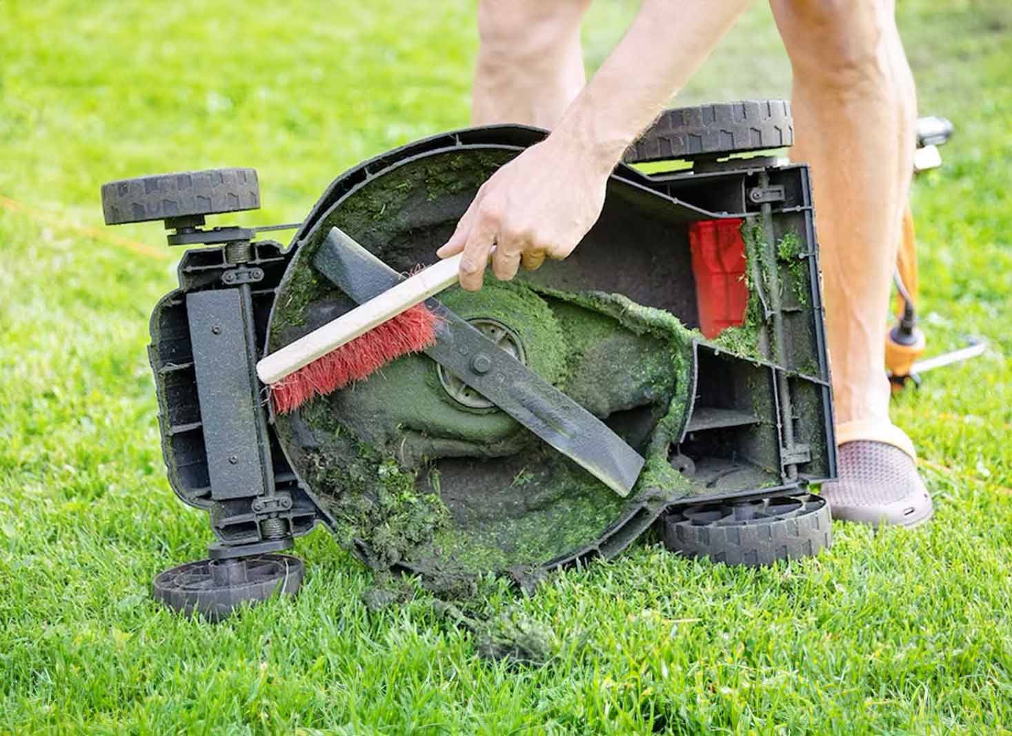 Wet Grass Mowing Techniques
