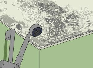 How to Easily Remove Black Mold from Your Bathroom Ceiling